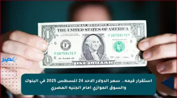استقرار قيمه.. سعر الدولار الأحد 24 أغسطس 2025 في البنوك والسوق الموازي أمام الجنيه المصري